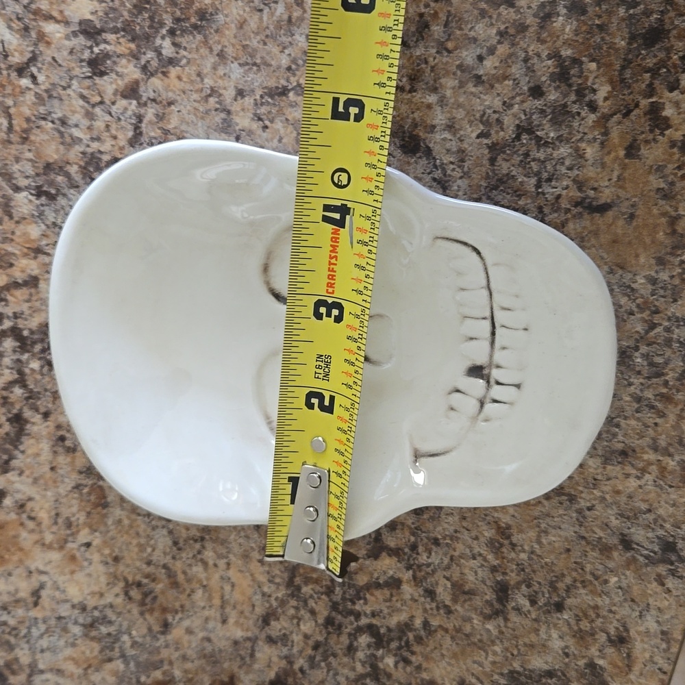 Skull dish - Picture 4 of 4